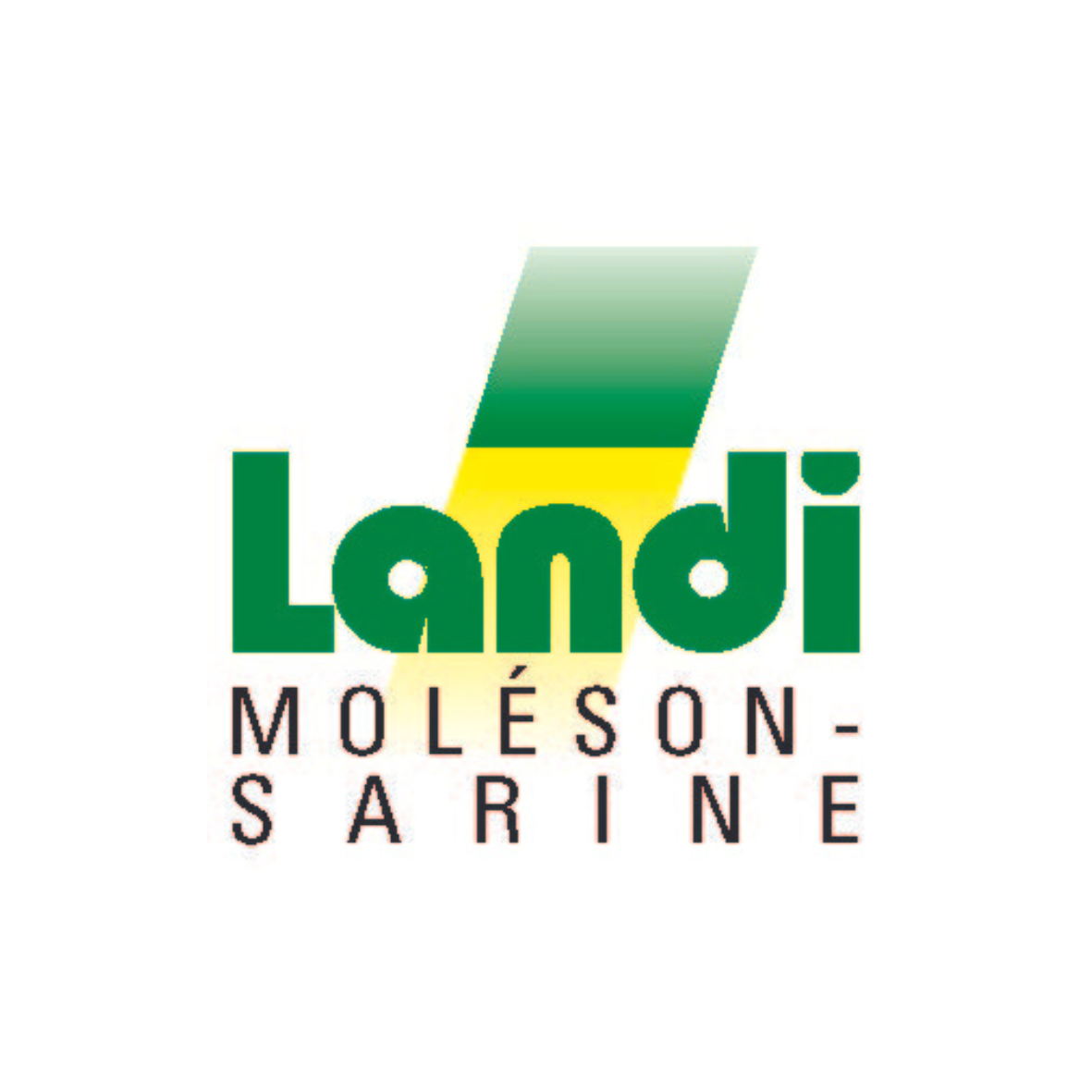 Logo Landi Moléson